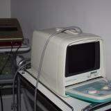 Kinesis Palaia
